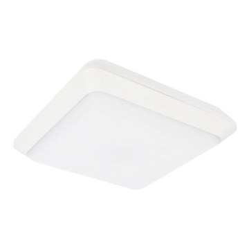 LED Spoljašnja plafonjera TIPO LED/24W/230V IP66