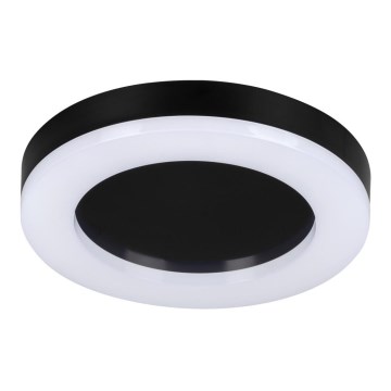 LED Spoljašnja plafonjera TURA LED/24W/230V 4000K IP54 crno