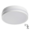 LED spoljašnja svetiljka sa senzorom BENO LED/18W/230V 4000K bela IP54