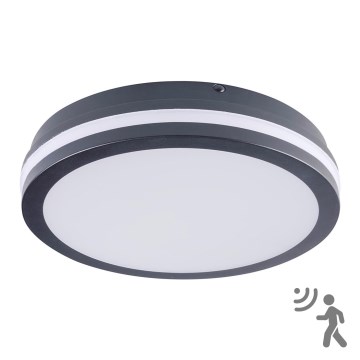 LED spoljašnja svetiljka sa senzorom BENO LED/24W/230V 4000K antracit IP54