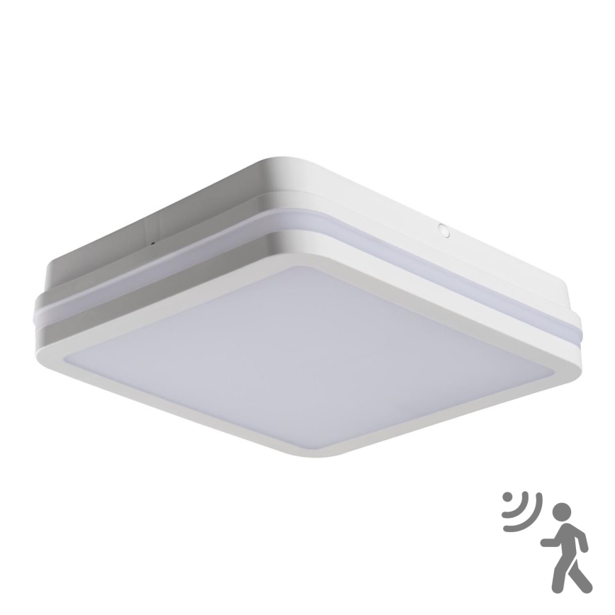 LED spoljašnja svetiljka sa senzorom BENO LED/24W/230V 4000K bela IP54