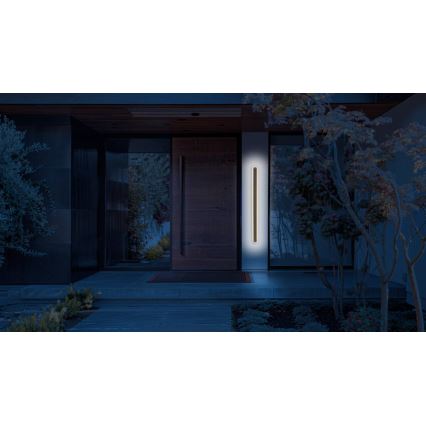 LED spoljašnja zidna svetiljka STICK LED/12W/230V IP65 3000K 60 cm