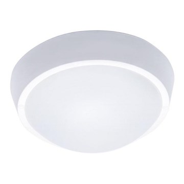 LED spoljašnje plafonsko svetlo 1xLED/30W/230V  IP65