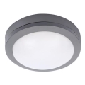 LED spoljašnje plafonsko svetlo LED/13W/230V IP54 antracit