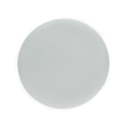 LED spoljašnje plafonsko svetlo NYMPHEA LED/32W/230V IP54 4000K