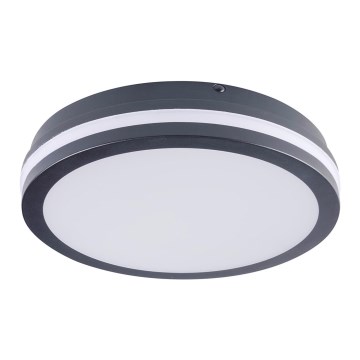 LED spoljašnje svetlo BENO LED/24W/230V 4000K antracit IP54