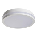 LED spoljašnje svetlo BENO LED/24W/230V 4000K belo IP54
