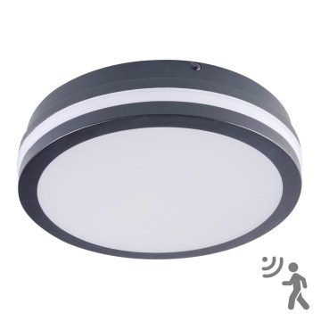 LED spoljašnje svetlo sa senzorom BENO LED/18W/230V 4000K antracit IP54