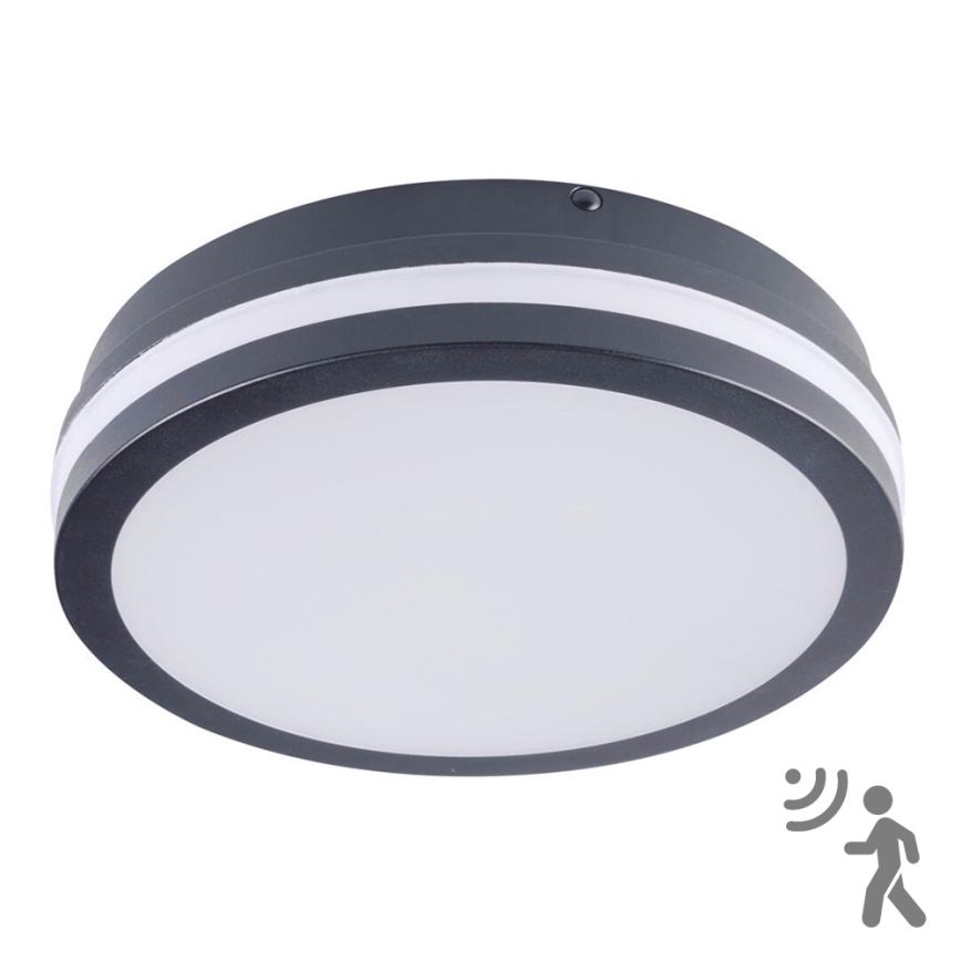 LED spoljašnje svetlo sa senzorom BENO LED/18W/230V 4000K antracit IP54
