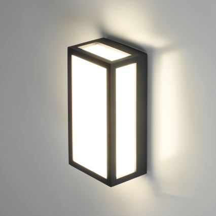LED spoljašnje zidno svetlo ENTERA LED/10W/230V 4000K IP54