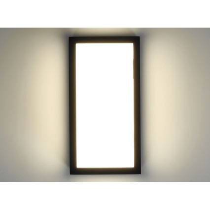 LED spoljašnje zidno svetlo ENTERA LED/10W/230V 4000K IP54