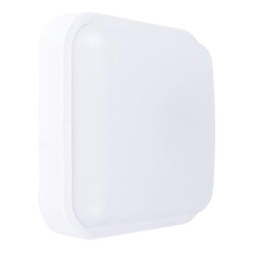 LED spoljašnje zidno svetlo LED/20W/230V IP54