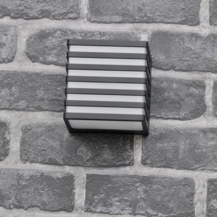 LED Spoljašnje zidno svetlo MAXWELL LED/10W/230V IP54 antracit