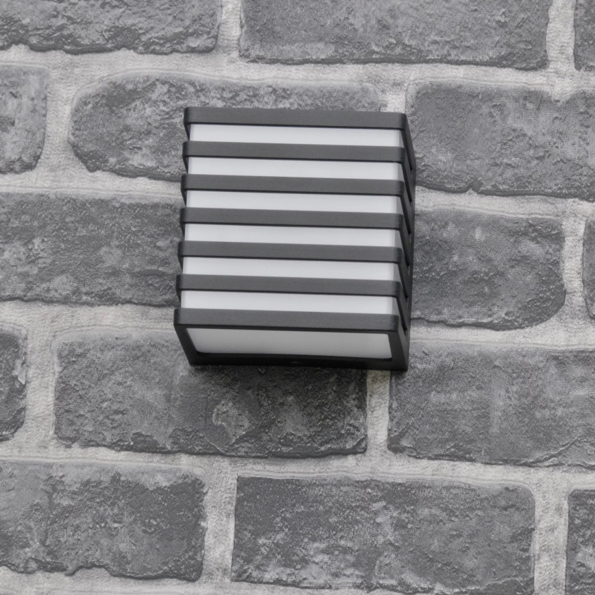 LED Spoljašnje zidno svetlo MAXWELL LED/10W/230V IP54 antracit