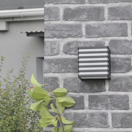 LED Spoljašnje zidno svetlo MAXWELL LED/10W/230V IP54 antracit