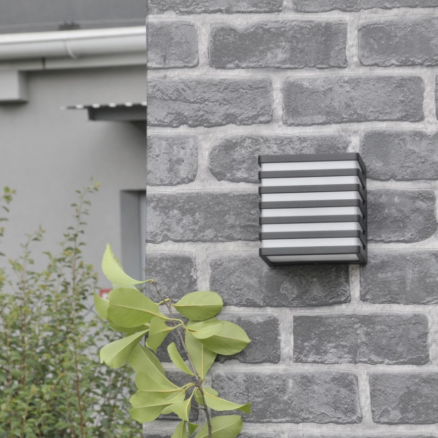 LED Spoljašnje zidno svetlo MAXWELL LED/10W/230V IP54 antracit