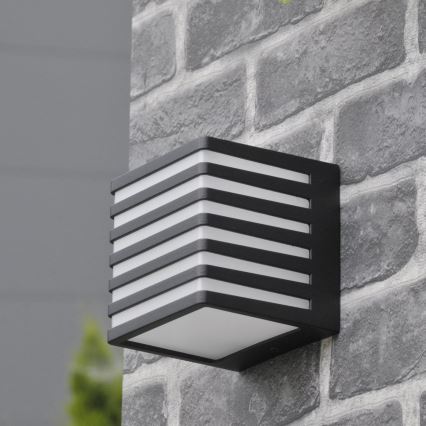 LED Spoljašnje zidno svetlo MAXWELL LED/10W/230V IP54 antracit