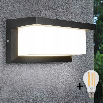 LED spoljašnje zidno svetlo NEELY 1xE27/9W/230V 4000K IP54 antracit