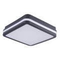 LED Spoljna lampa BENO LED/18W/230V 4000K antracit IP54