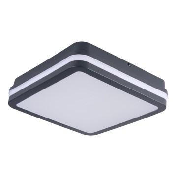 LED Spoljna lampa BENO LED/18W/230V 4000K antracit IP54