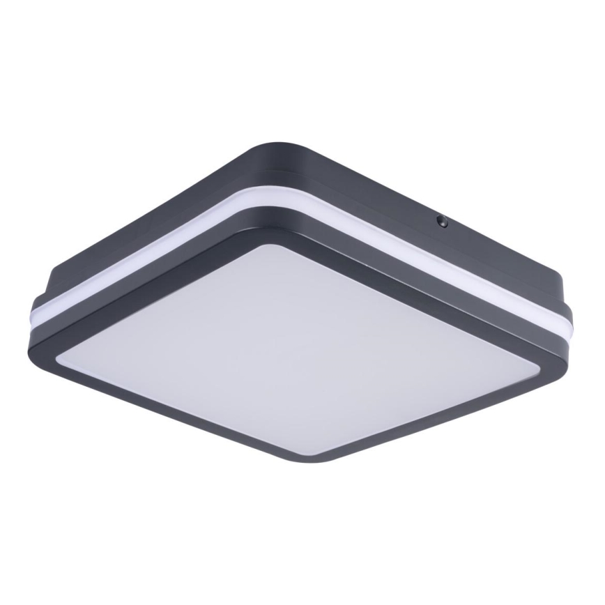 LED Spoljna lampa BENO LED/18W/230V 4000K antracit IP54