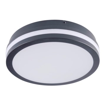 LED Spoljna lampa BENO LED/18W/230V 4000K antracit IP54