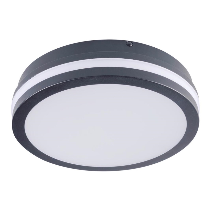 LED Spoljna lampa BENO LED/18W/230V 4000K antracit IP54