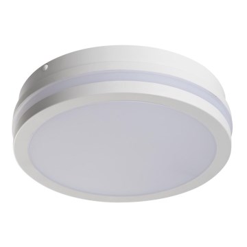 LED Spoljna lampa BENO LED/18W/230V 4000K bela IP54