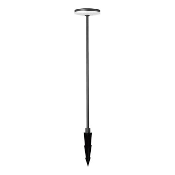 LED Spoljna lampa LED/12W/230V 3000K IP65 antracit