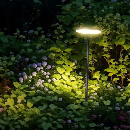 LED Spoljna lampa LED/12W/230V 3000K IP65 antracit