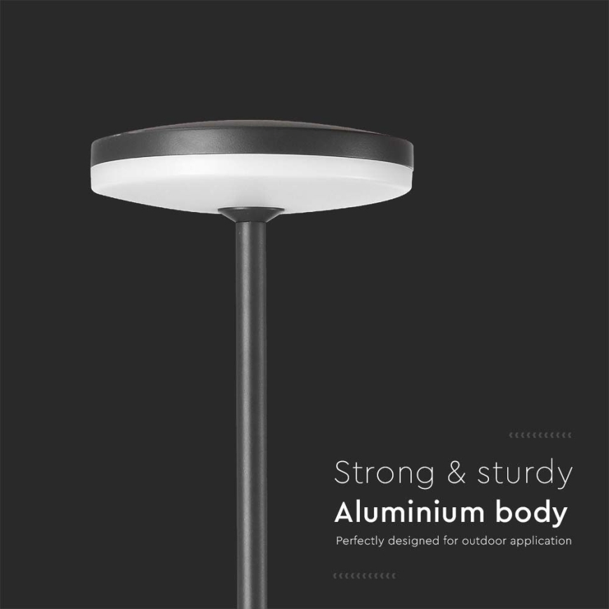 LED Spoljna lampa LED/12W/230V 3000K IP65 antracit