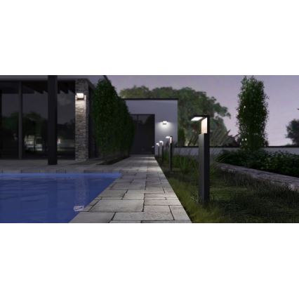 LED Spoljna lampa NATURA LED/12W/230V 4000K 60 cm IP65 braon/antracit