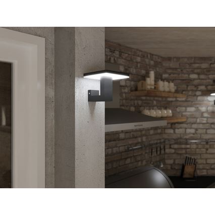LED Spoljna zidna lampa BARI LED/10W/230V 4000K IP54 antracit
