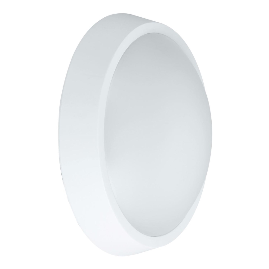 LED Spoljna zidna lampa BULKHEAD LED/30W/230V 4000K IP54 bela