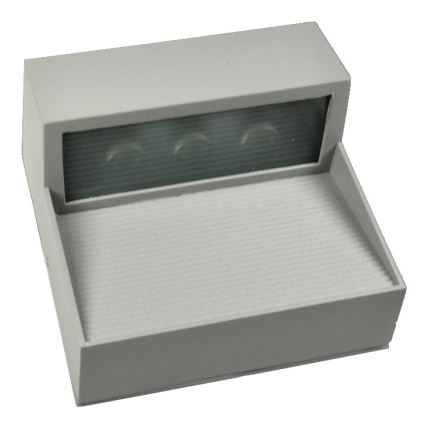 LED Spoljna zidna lampa CARRI LED/3W/230V IP54