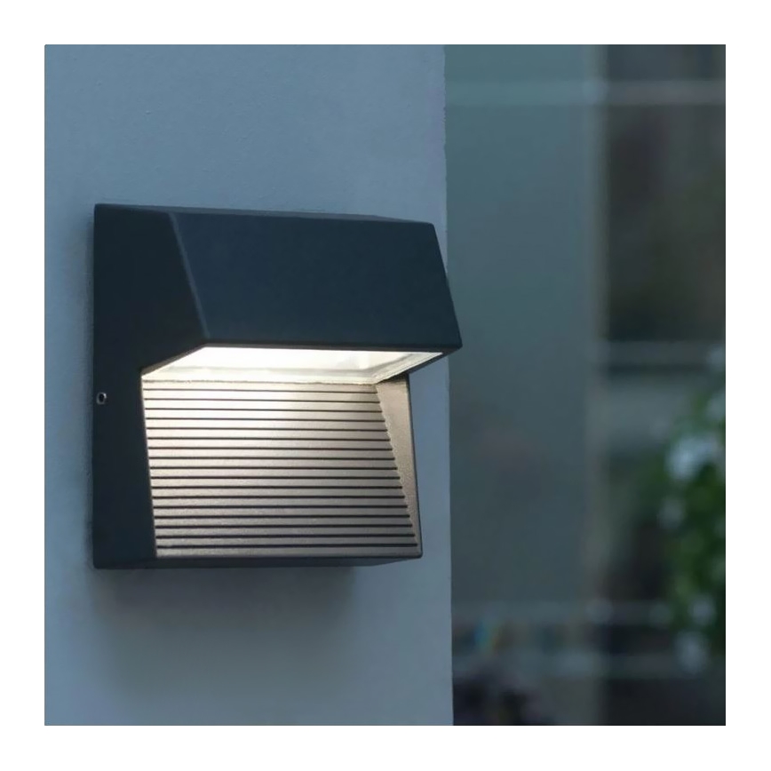 LED Spoljna zidna lampa CARRI LED/3W/230V IP54