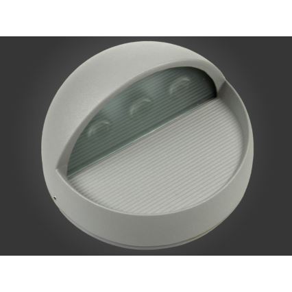 LED Spoljna zidna lampa CIOLLA LED/3W/230V IP54