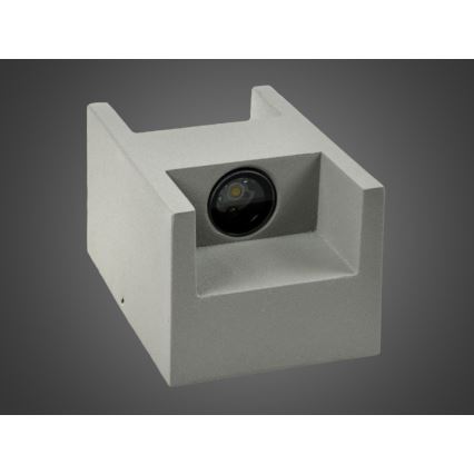 LED Spoljna zidna lampa CISSA 2xLED/2W/230V IP54