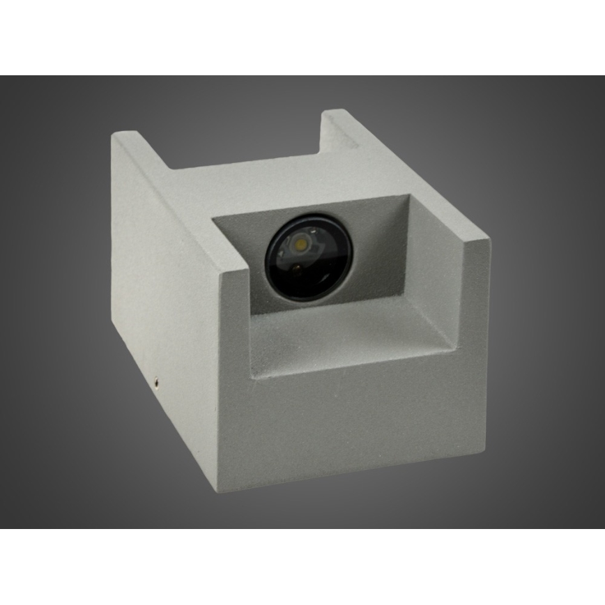 LED Spoljna zidna lampa CISSA 2xLED/2W/230V IP54
