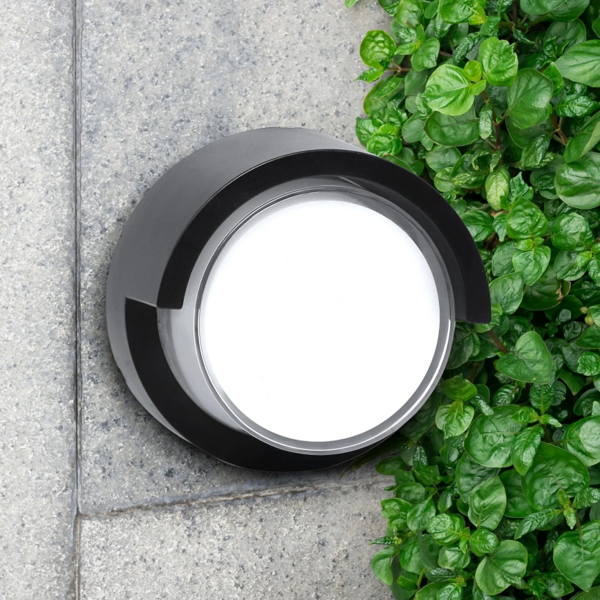 LED Spoljna zidna lampa ESSEN LED/10W/230V IP44 crno