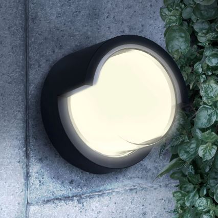 LED Spoljna zidna lampa ESSEN LED/10W/230V IP44 crno