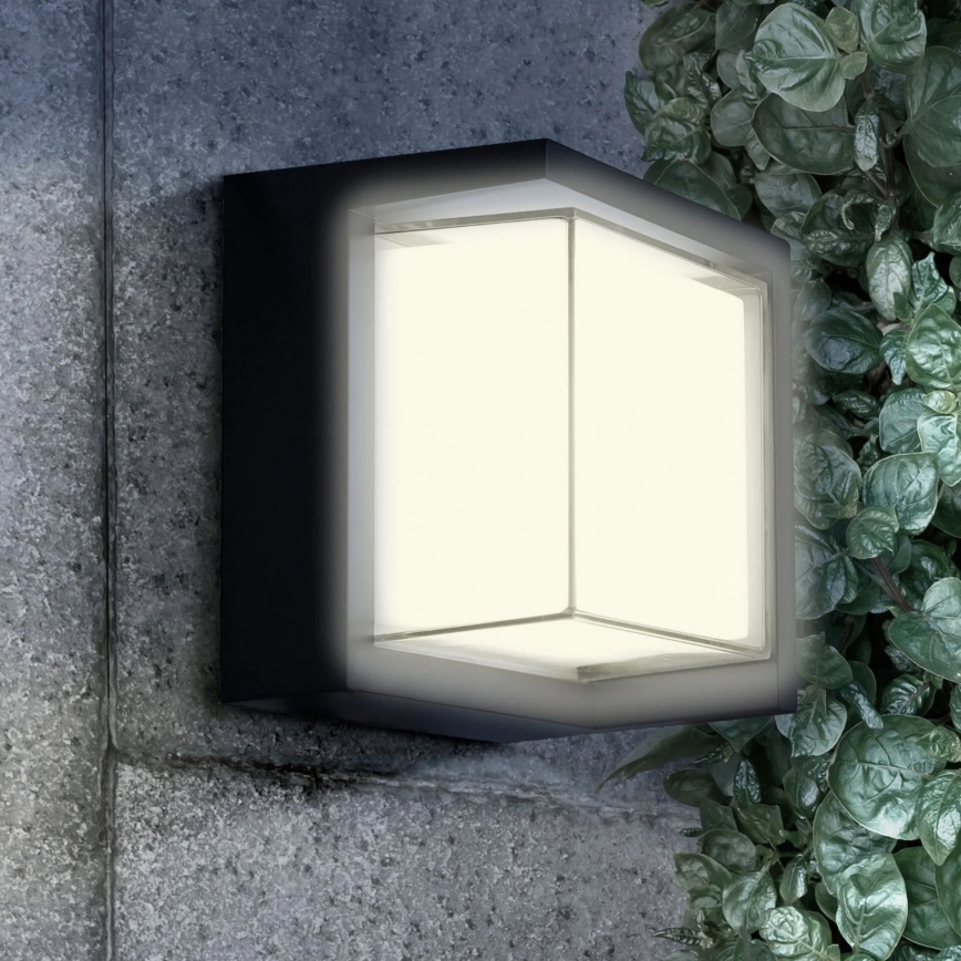 LED Spoljna zidna lampa ESSEN LED/12W/230V IP44 crno
