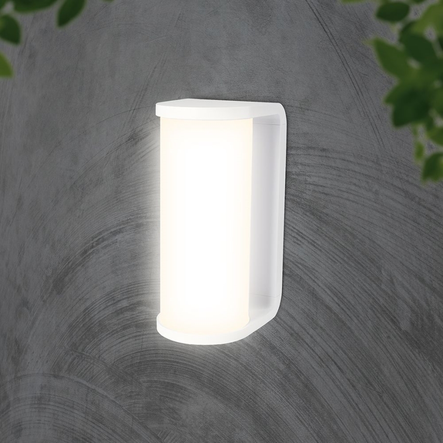 LED Spoljna zidna lampa LED/12W/230V 3000/4200/6500K IP65 bela