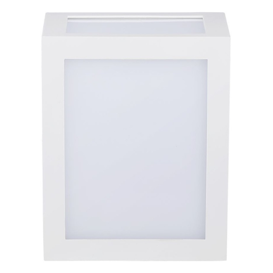 LED Spoljna zidna lampa LED/12W/230V 3000K IP65 bela