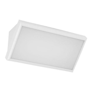 LED Spoljna zidna lampa LED/12W/230V 4000K IP65 bela