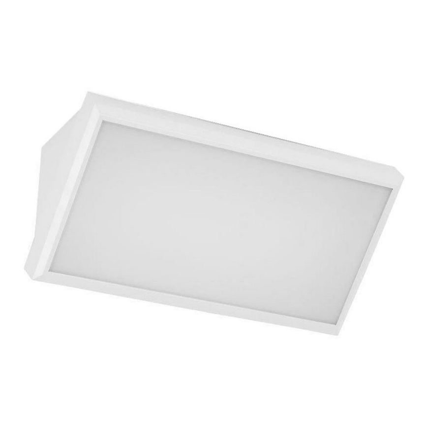 LED Spoljna zidna lampa LED/12W/230V 6400K IP65 bela