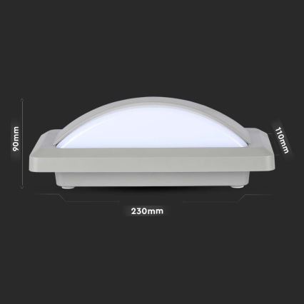 LED Spoljna zidna lampa LED/12W/230V 6400K IP65