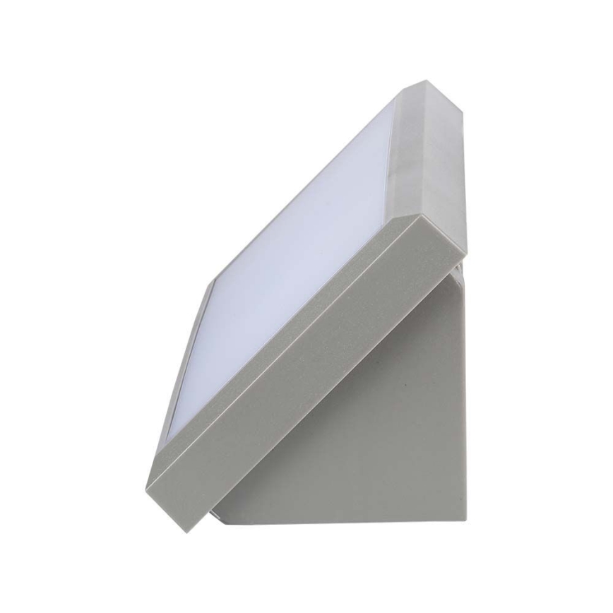LED Spoljna zidna lampa LED/12W/230V 6400K IP65