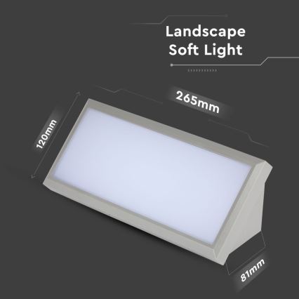 LED Spoljna zidna lampa LED/12W/230V 6400K IP65