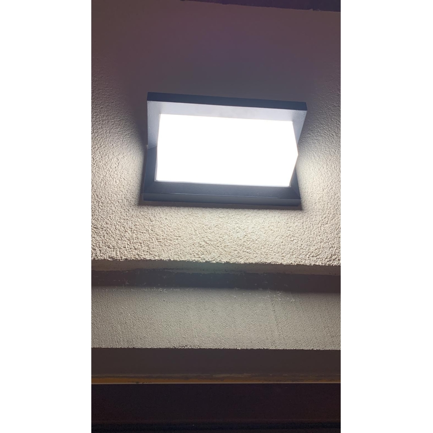 LED Spoljna zidna lampa LED/12W/230V IP54 crno